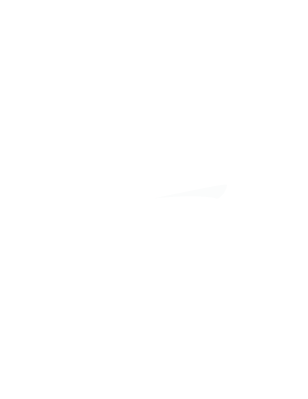 Villa du Carmel
