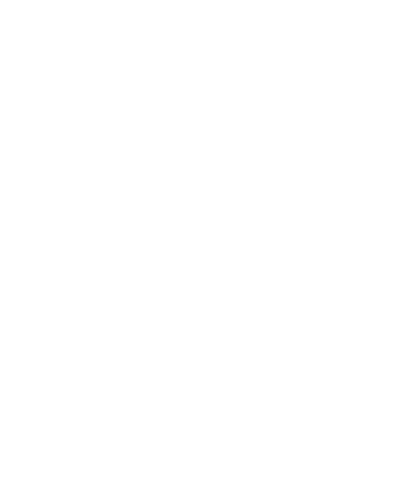 Villa du Carmel